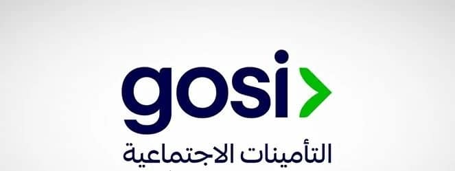 التأمينات الاجتماعية: منتج للادخار الاختياري في 2027 ودراسة لتوسيع فئات الجمعيات