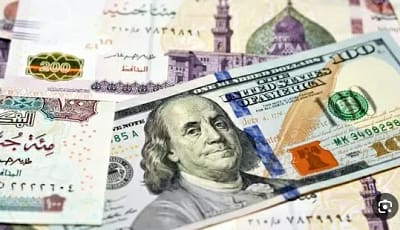 كم بلغ ارتفاع الأخضر في مصر