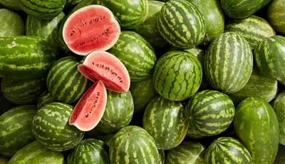 البطيخ يتصدر مشهد الصيف بإنتاج وفير